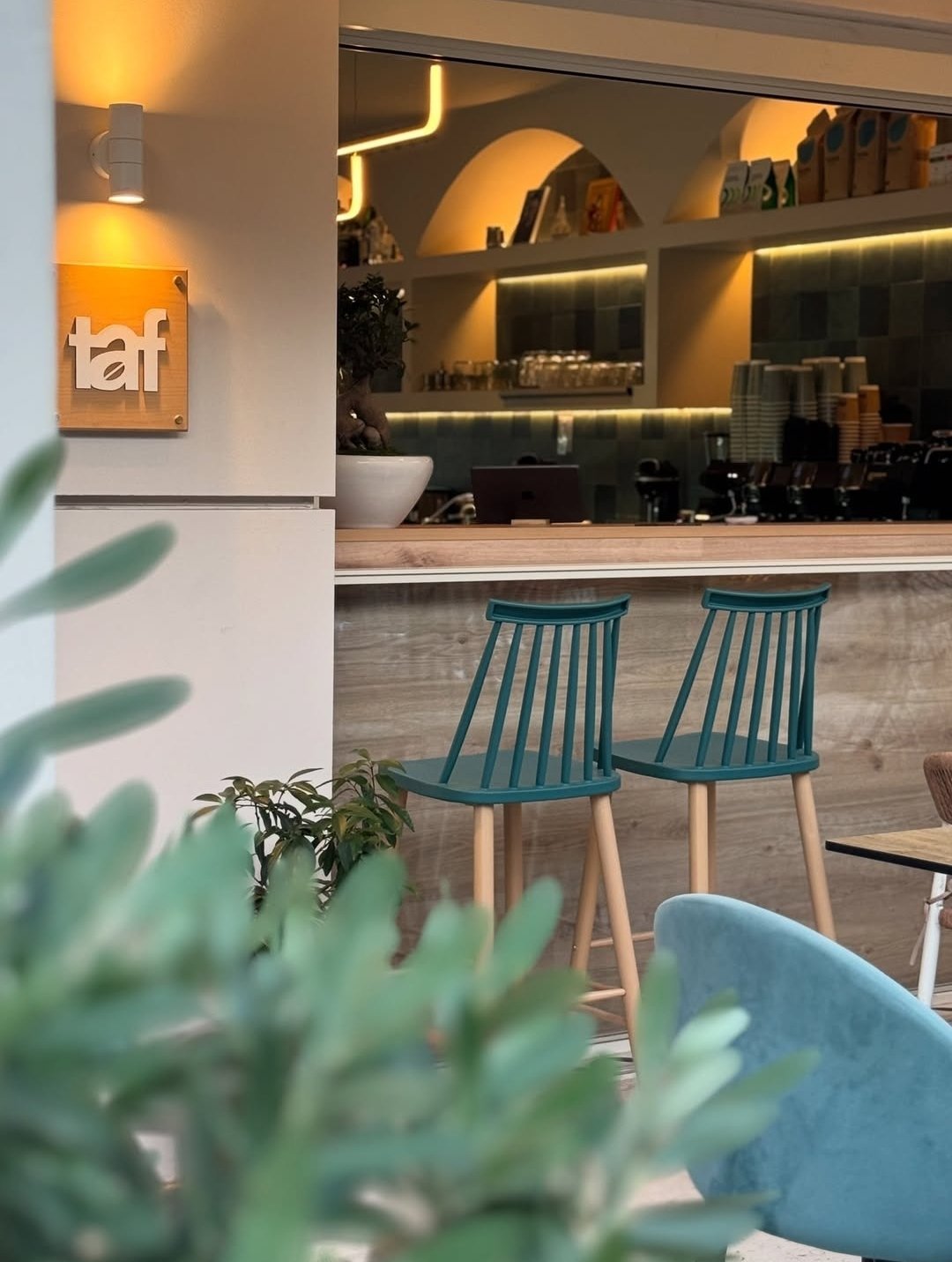 Modern cafe interior with teal bar stools, illuminated shelving behind counter, and green plants in foreground